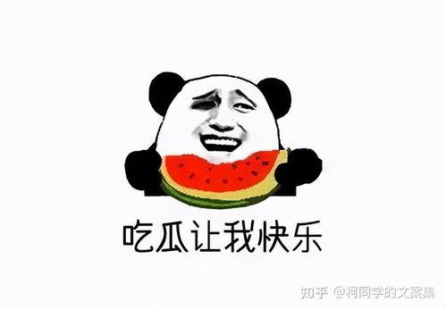 吃瓜群众的崩溃视频图片,视频图片揭示社会百态