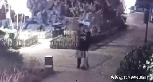 村干部被曝吃瓜视频,权力监督与舆论压力