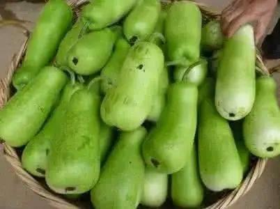 广东吃瓜的视频,一场视觉与味觉的双重盛宴