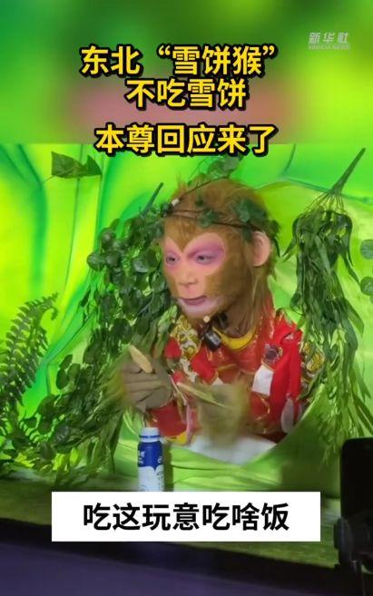 猴王吃瓜故事表演版视频,一场欢乐的奇幻冒险