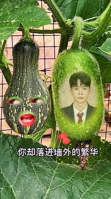 吃瓜阿婆特效怎么做视频,轻松打造热门短视频