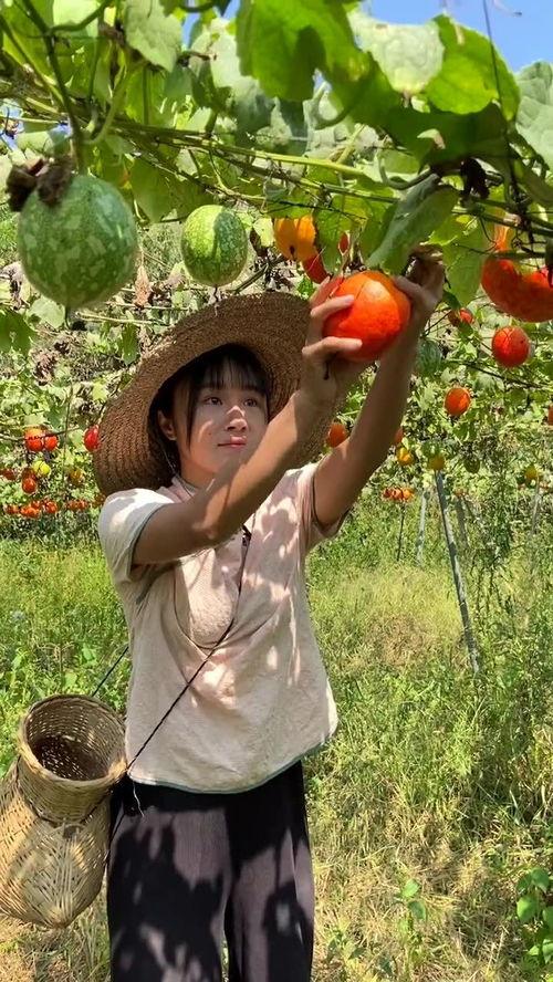 吃瓜的恶心视频,网络暴力下的道德沦丧