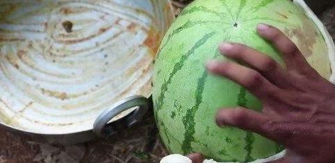 各种网红吃瓜视频在哪看,一网打尽观看指南