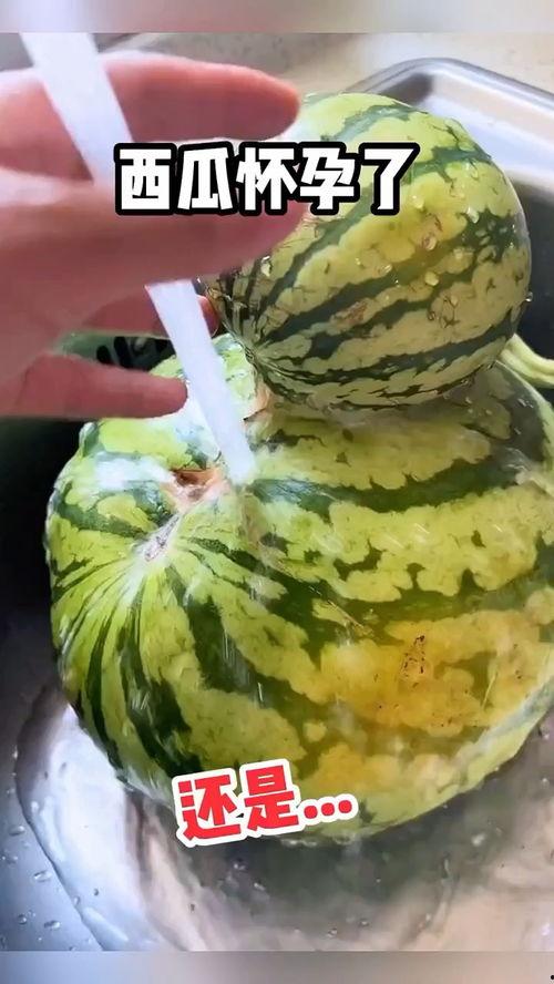 吃梨瓜搞笑视频在线观看,在线观看乐翻天