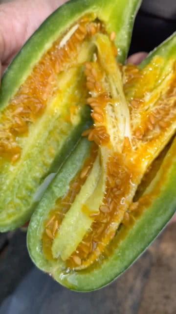 最近大家吃瓜视频,揭秘近期热门吃瓜视频背后的故事