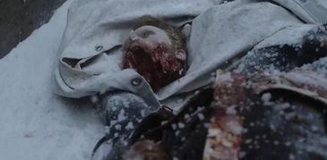 缅北恐怖视频吃瓜群,吃瓜群背后的真相与反思