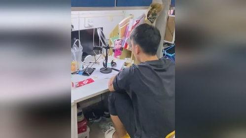 强迫别人吃瓜视频,强迫别人吃瓜视频背后的真相与反思