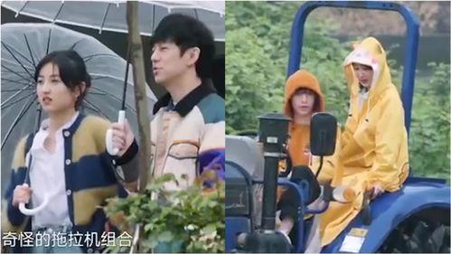 朝堂全员吃瓜视频,全员吃瓜，揭秘宫廷幕后真相