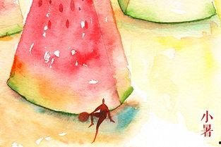 西瓜视频小暑吃瓜,夏日消暑必备美食攻略