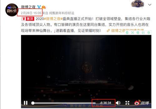 吃瓜网友语录大全视频,网络热词背后的趣味与思考