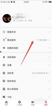 吃瓜回看视频怎么下载到手机,吃瓜回看视频轻松下载到手机！