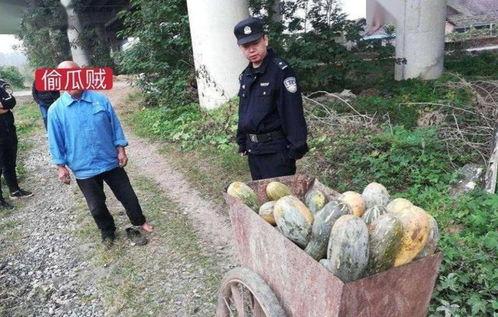 定远最新吃瓜事件真相视频,揭秘真相背后的惊人内幕