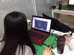 程序员一天吃瓜视频,瓜视频里的编程人生