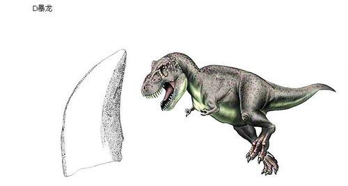 带你吃瓜恐龙视频,揭秘带你吃瓜恐龙的奇幻之旅