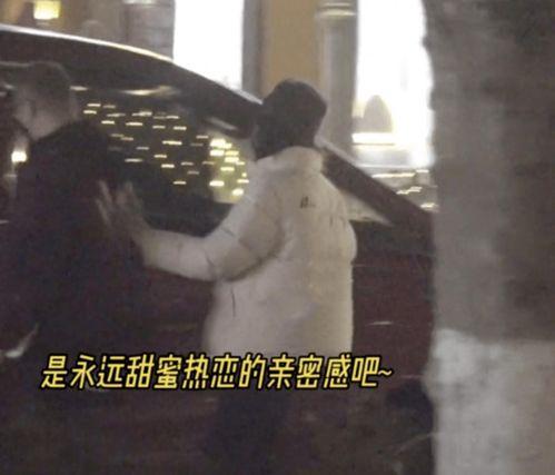 吃瓜爆料汪峰视频,吃瓜群众揭秘明星私生活