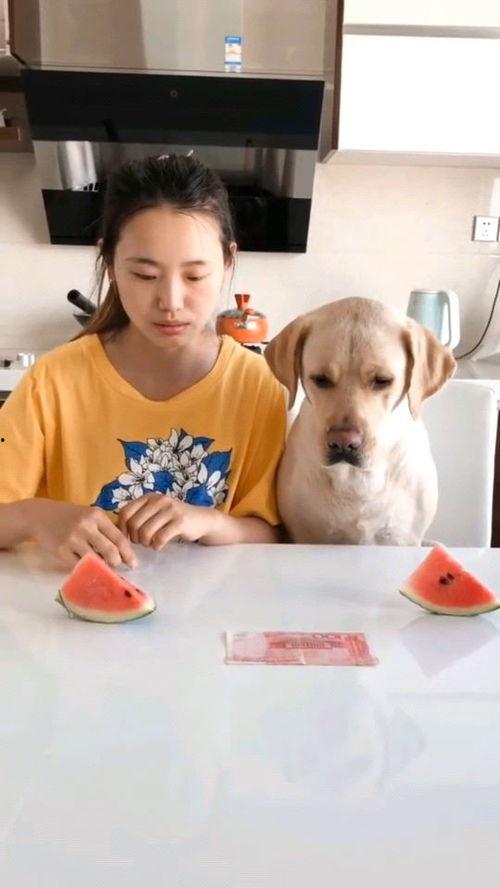 吃瓜比赛视频网站大全,揭秘热门视频网站大全