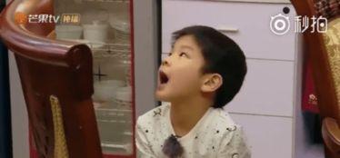 安迪吃瓜事件是真的吗视频,真相揭秘，视频还原事件始末