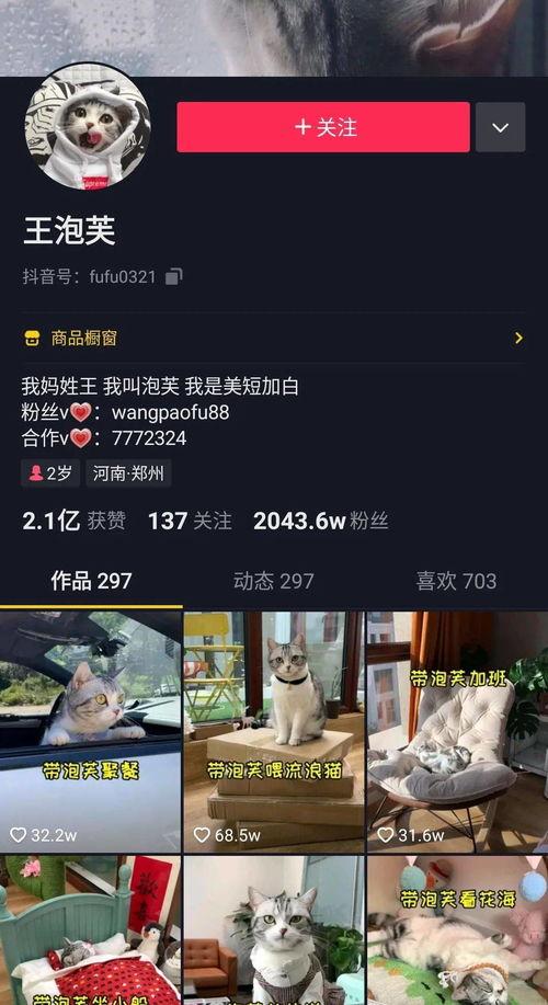 吃瓜博主全部视频,揭秘娱乐圈幕后故事，带你领略明星真实生活