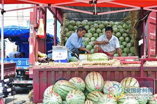常州吃瓜视频,揭秘当地美食风情