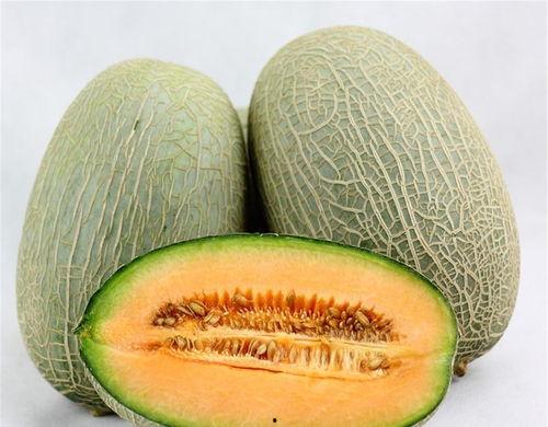 吃哈密瓜小妞视频大全,甜蜜滋味尽收眼底