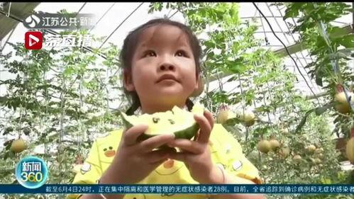 吃瓜江苏母子视频,温馨日常引发网友热议