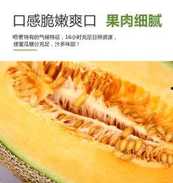 吃货吃哈密瓜月饼视频,吃货眼中的甜蜜诱惑