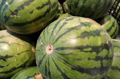 放吃瓜的视频,揭秘热门吃瓜视频背后的趣味与真相