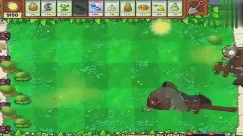 僵尸吃瓜大全视频,惊悚视频背后的惊悚真相